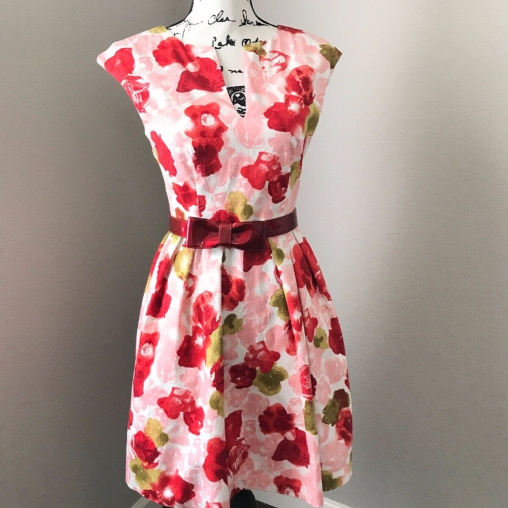BB DAKOTA Floral Fit & Flare Pleated A-line Sz0